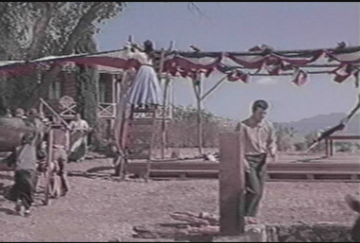 McLintock! (1963)